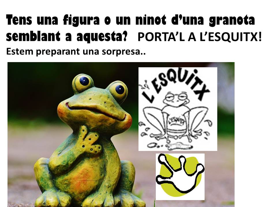esquitxbcn's tweet photo. Es busca granoteta! ¡Se busca ranita! #sorpresa #rana #granota #figura #figureta https://t.co/lkQYamriF2