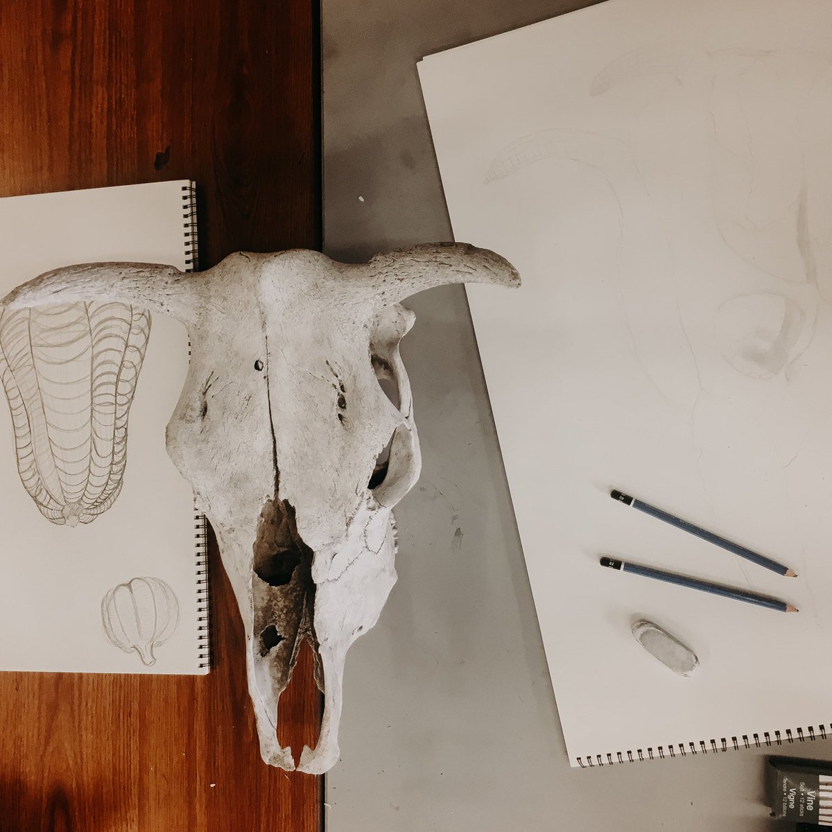 KStateArtDept's tweet photo. Art students are constantly being pushed to draw new textures, figures &amp; dimensions. Growth is good!  #KState #artdept #drawing #ART190 https://t.co/lxwPQu2luA