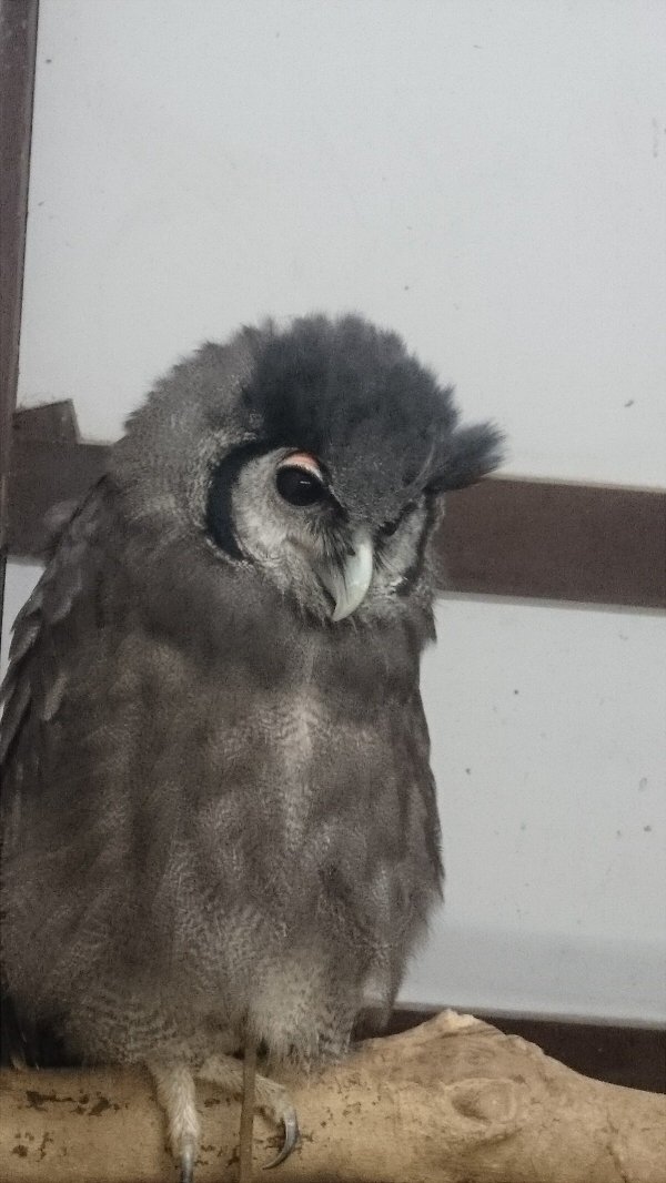 深水色 青木翔吾 Na Twitteru 赤ちゃんみたいで可愛いと思う