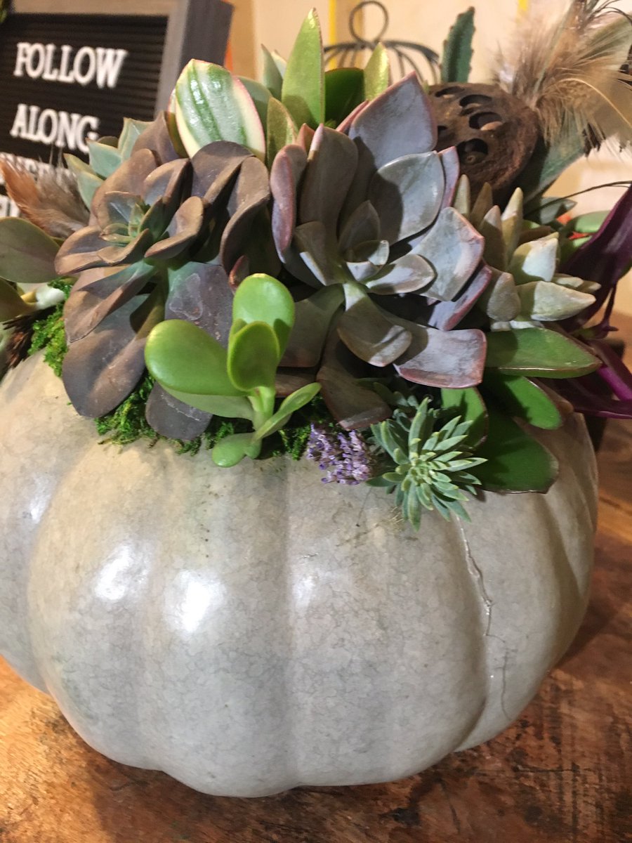 AshleyJacobsTV's tweet photo. Get ready for #fall #holiday entertaining! Setting the perfect table ahead on @CBS8 with @venissimoSD &amp; #infinitesucculent https://t.co/ioRB54KK3N