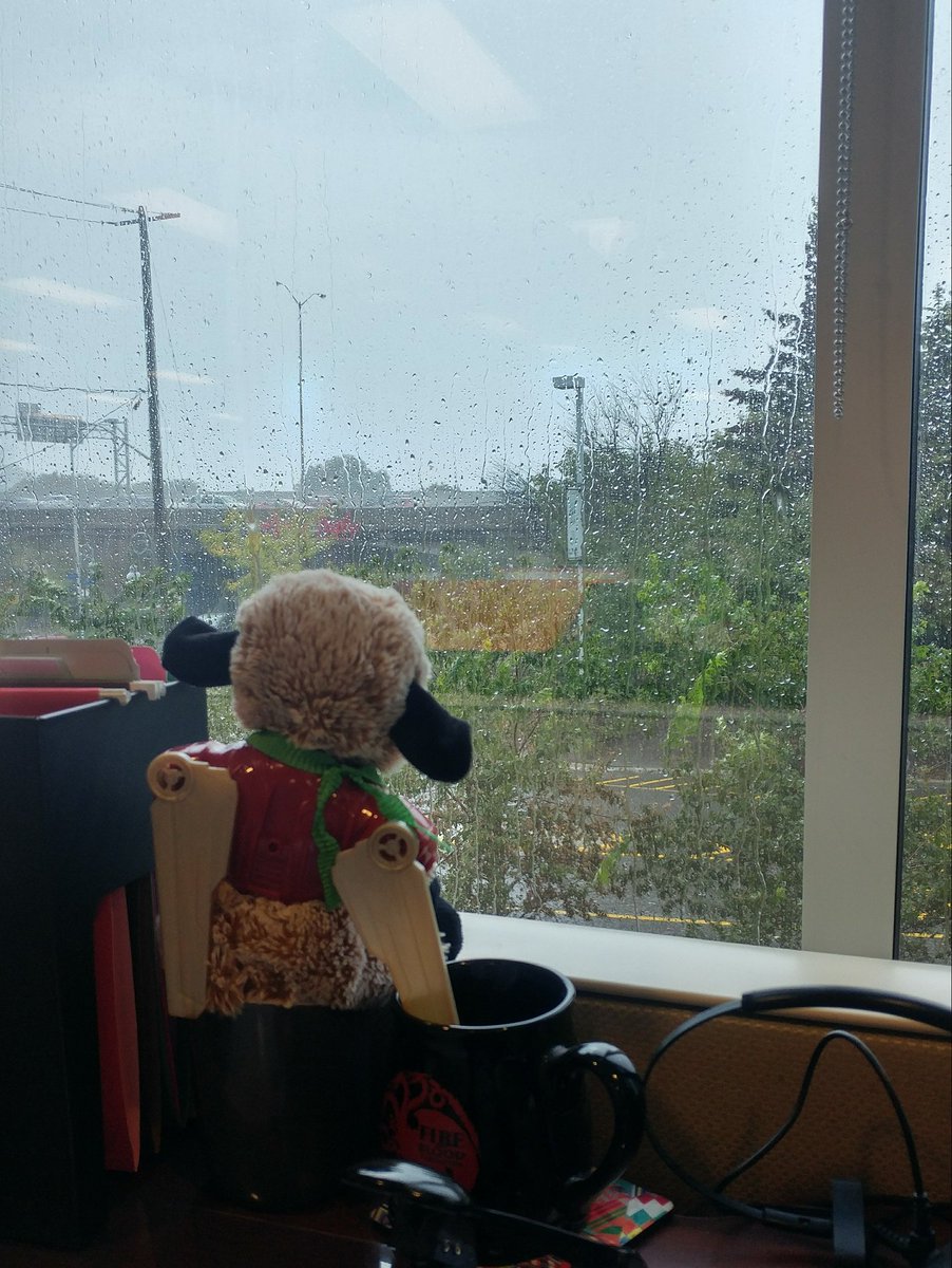 goatelina's tweet photo. Rainy morning in Ontario. Just watching the cars drive on the highway. A good day for Movie Tuesday! #Goatelina #IronGoat https://t.co/txj6YOHGkz