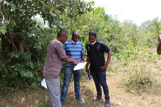 STAMICO TANZANIA tweet media