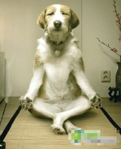 KimKim2905's tweet photo. Waiting husband 😥😥 https://t.co/OybjlD9Ukc