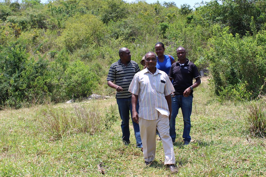 STAMICO TANZANIA tweet media