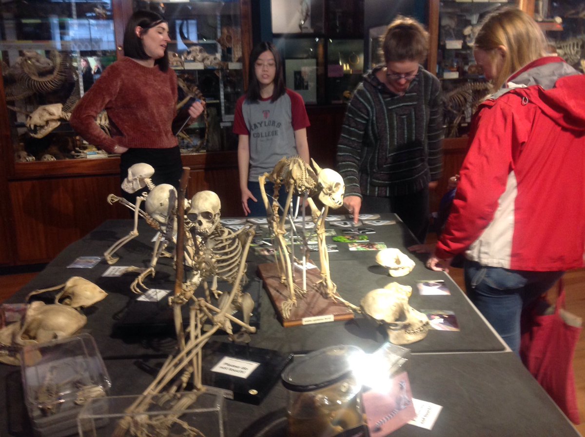GrantMuseum's tweet photo. Gibbonologists & @UCL PhD students @CatieWilliams & Carolyn Thompson @gibbonresearch sharing their gibbon wisdom #IGD2017 @IUCN_Gibbon https://t.co/T7ZwHuveNW