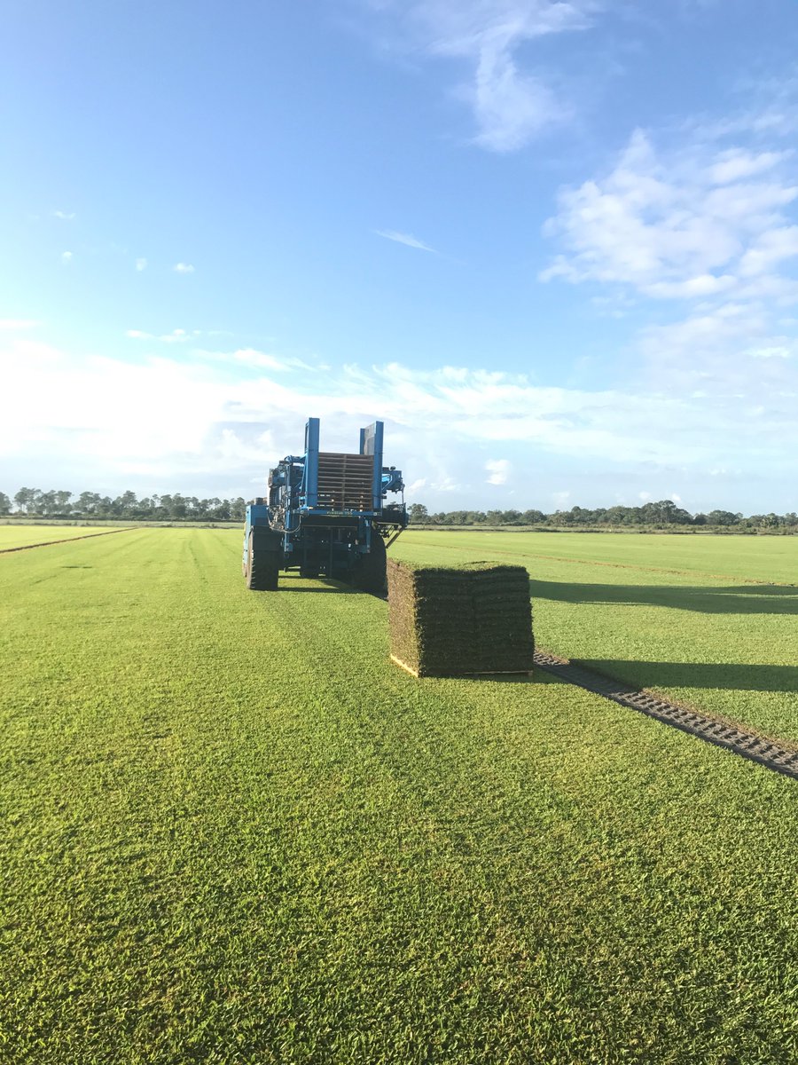 BethelFarms's tweet photo. County Line is out in the Fire Fly cutting some fresh Palmetto this morning for a jobsite in The Villages 
 #Palmetto #Turf #CountyLine https://t.co/ol5l0PtXlG