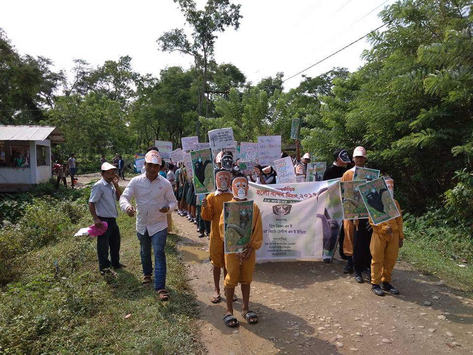 IUCN_Gibbon's tweet photo. Happy International Gibbon Day from India #TeamGibbon #IGD2017 #GibbonProjects @ArcusGreatApes https://t.co/6gY5gihopo