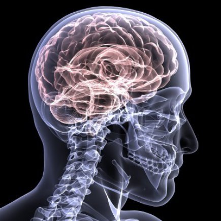 Riverside_Ortho's tweet photo. Is traumatic brain injury associated with late-life neurodegenerative conditions? #traumaticbrain - https://t.co/eaSiGKWhir https://t.co/dBCxO53Qmx