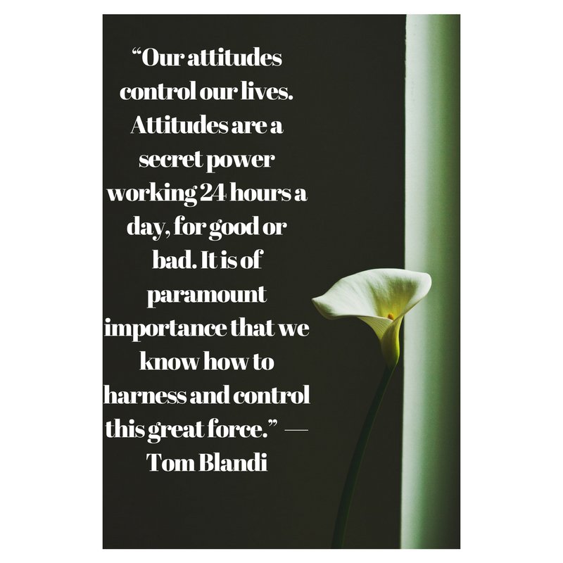 B3BETTER:
Athletic Performance Training 
Health &amp; Wellness 
Corporate Wellness
EMAIL: byron@b3better.com