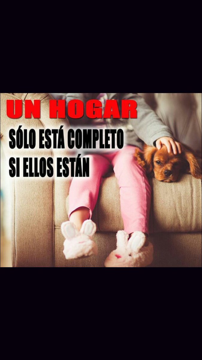 QueMascotas's tweet photo. Porque esta imagen es cierta que haríamos sin está maravillosa compañía 😁 https://t.co/EWBS2EqM08
