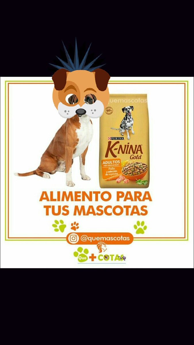QueMascotas's tweet photo. Buenos días si estás pensando que darle de comer a tu mascota ve al negocio que mascotas @QueMascotas carrera 22 con calle 23 #Barquisimeto https://t.co/17EdcngJX3
