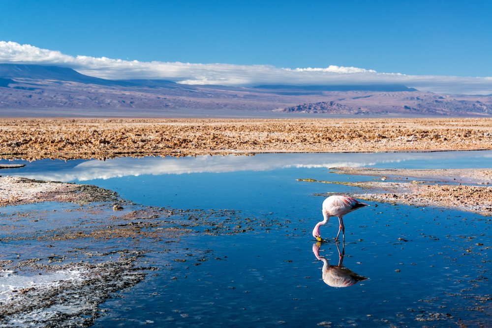 lonelyplanet's tweet photo. Pssst! The secret is out... our #travel experts reveal the destinations you need to see in 2018: https://t.co/ACiPs3ejA9 #BestinTravel https://t.co/lZuVdO7AQO