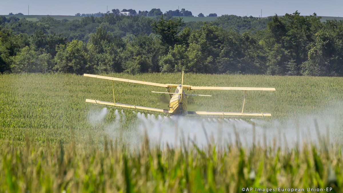 Europarl_FR's tweet photo. Les députés se battent pour bannir le glyphosate de l'agriculture au plus vite https://t.co/CLtgFxgyQf https://t.co/Fpy7NOzQ84