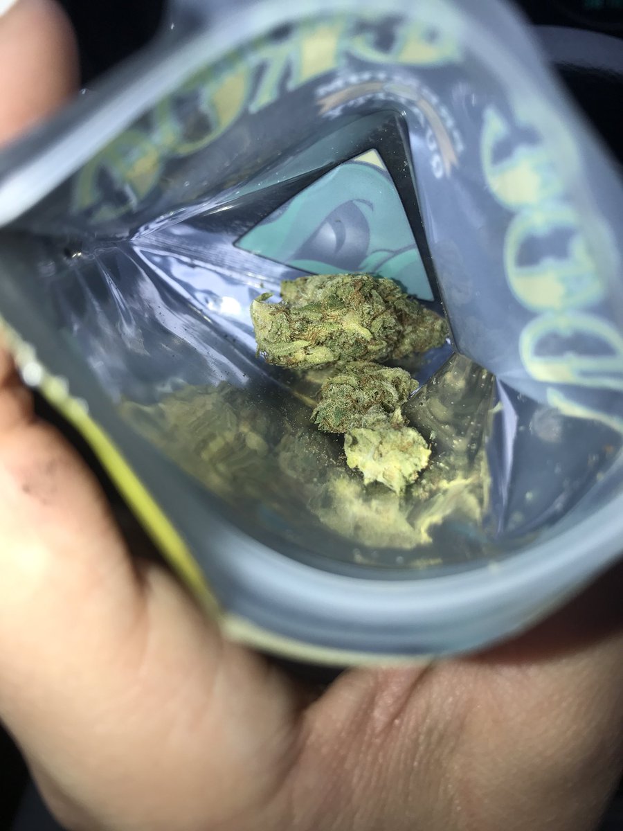 alanacrios's tweet image. Got that young blue doggy dog #1 😈😈 #sativahybrid #doccroc #ganja #wesmokeweed @GreenCollarTac