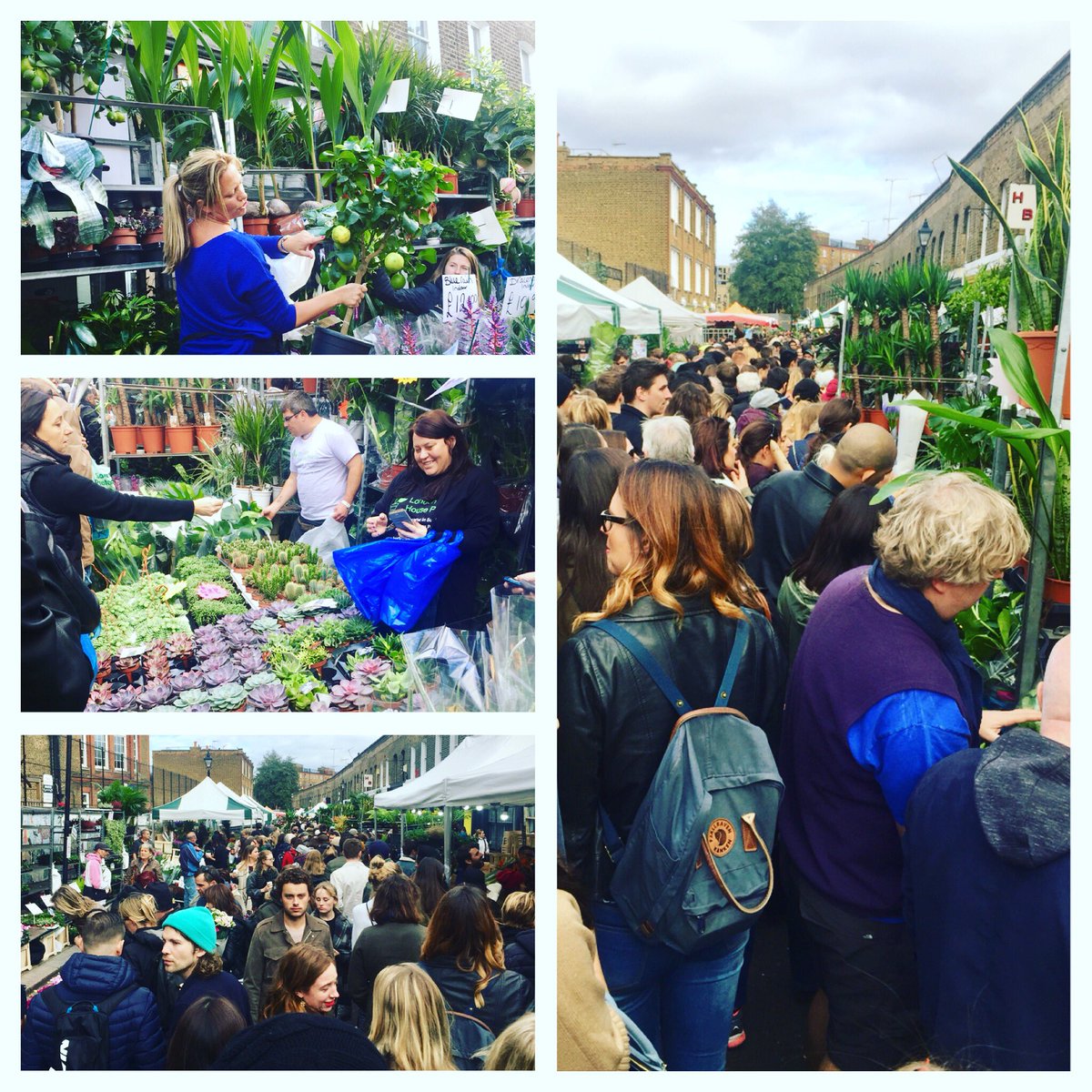 shivaajisatam's tweet photo. #HOXTON LONDON  the Sunday flower market ... amazing flowers, plants , shoots even bonsais ... incl our coconut &amp; palm too😜 BEAUTIFUL👍😍 https://t.co/PJ0tbHWgS2
