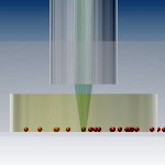 OpticManip's tweet photo. New @OpticalSociety #BiomedicalOpticsExpress paper by @i_gusachenko @jonathan_nylk and colleagues https://t.co/btfksx5SvK
#shapedphotonics https://t.co/jw5qh2iUtT