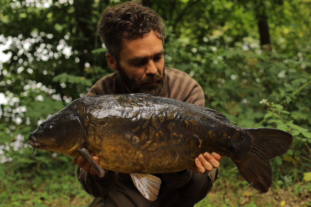 Homegrown thoroughbred. Personally, we'd rather graft for a 17 pounder that looks like this than fish for jumbo stockies that weigh 68!