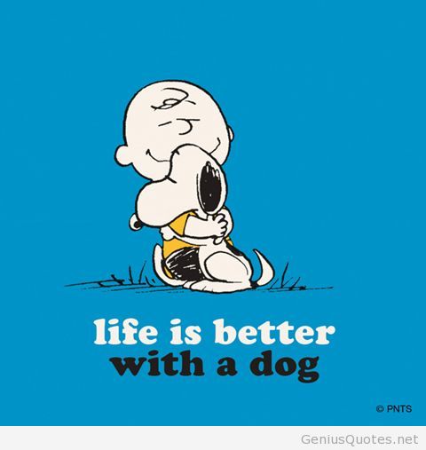 OggisWorld's tweet photo. It JUST is! #snoopyquotes https://t.co/GGm2YyxAHz