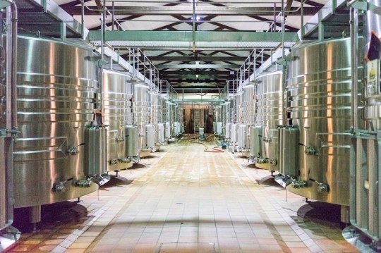 VirginWines's tweet photo. What makes Bordeaux as exciting today as it ever has been? Our wine-buyer Alex takes a look https://t.co/6gicBVmXXY https://t.co/TzVkFLBJSv
