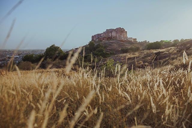valmayuk's tweet photo. Reposting @artleavesamark:
Sunset, #Meherangarh #fort, #Jodhpur, 2017. #history #incredibleindia
#cntgiveitashot #digitalrev https://t.co/PmICtsz9DU