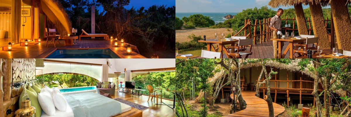 HolidaysbyGS's tweet photo. #Hotel #Feature #ChenaHuts #Yala #SriLanka #Luxury #Wildlife #Followback #FollowMe #Travel #Like4Like #Wanderlust #Adventure #Resorts #Like https://t.co/9EtUPRcunG