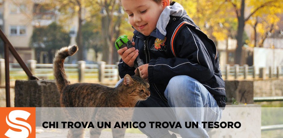 Sistema Software.AI tweet media