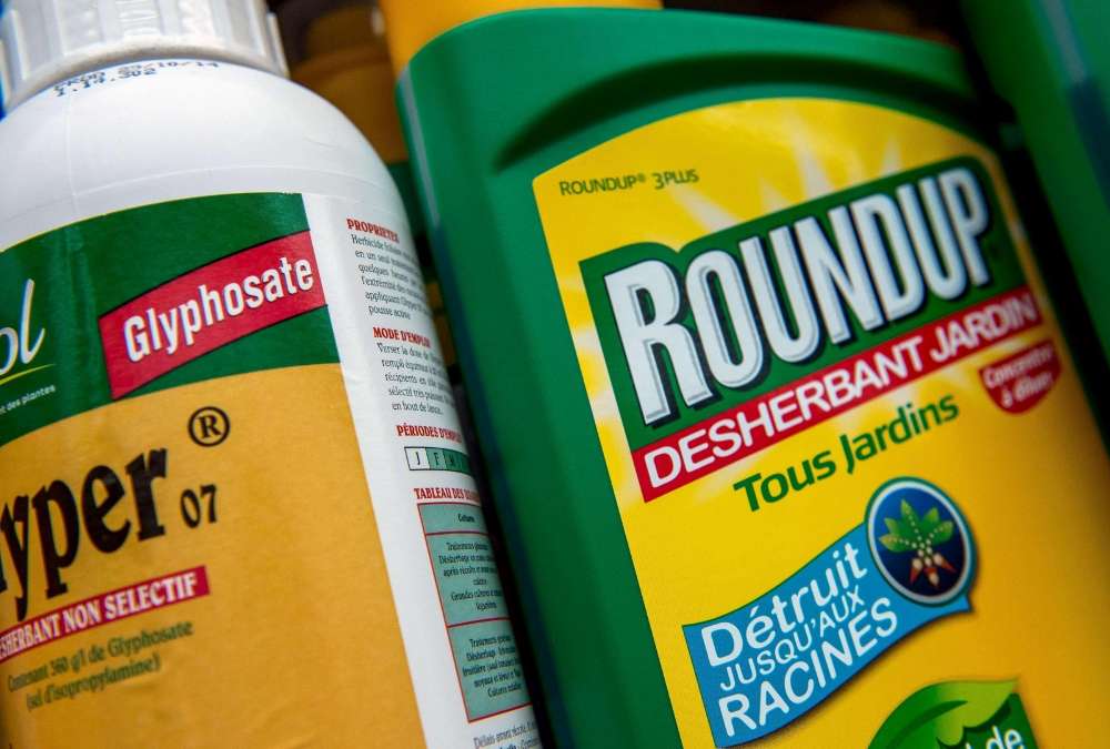 Allodocteurs's tweet photo. Le glyphosate bientôt interdit ?

Pour en parler avec nous dans Le Mag de la #santef5 : @Su9anne de @greenpeacefr ➡️ https://t.co/KYQfOp8icw https://t.co/RPExPdTIck