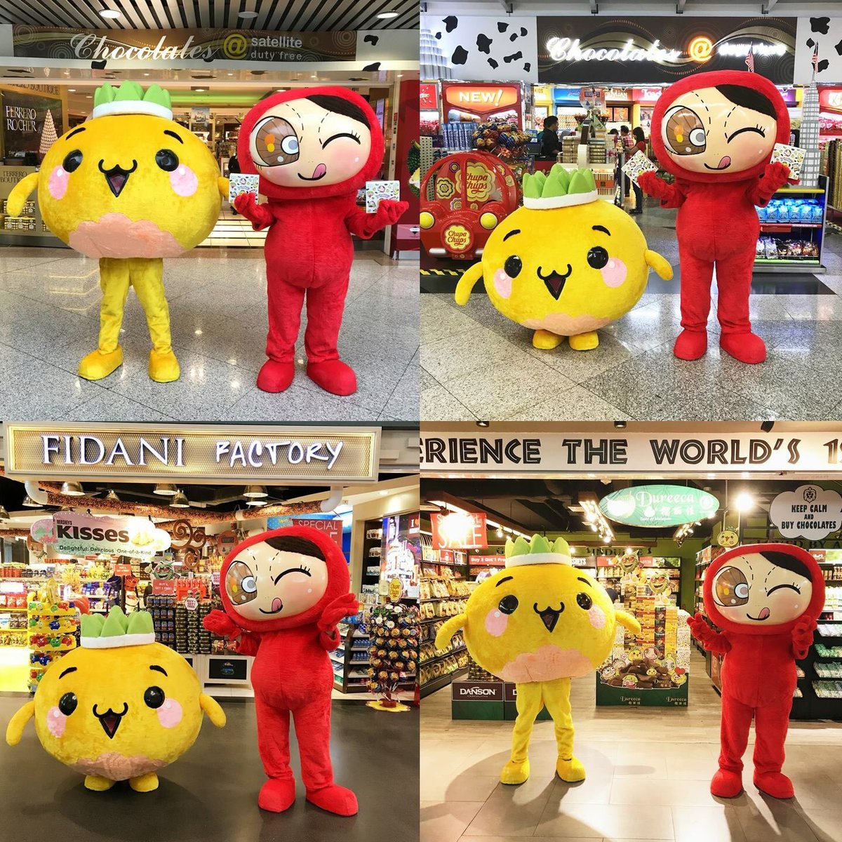 daniel_leong11's tweet photo. 無論您是來馬來西亞旅遊的遊客或出國的本地人， #Dureeca x #PocoteeAndFriends #榴莲多多巧克力 必定是您送禮最佳選擇。

現在 KLIA &amp; @gatewayklia2 機場也能買到~ https://t.co/MCLJaK9IWn
