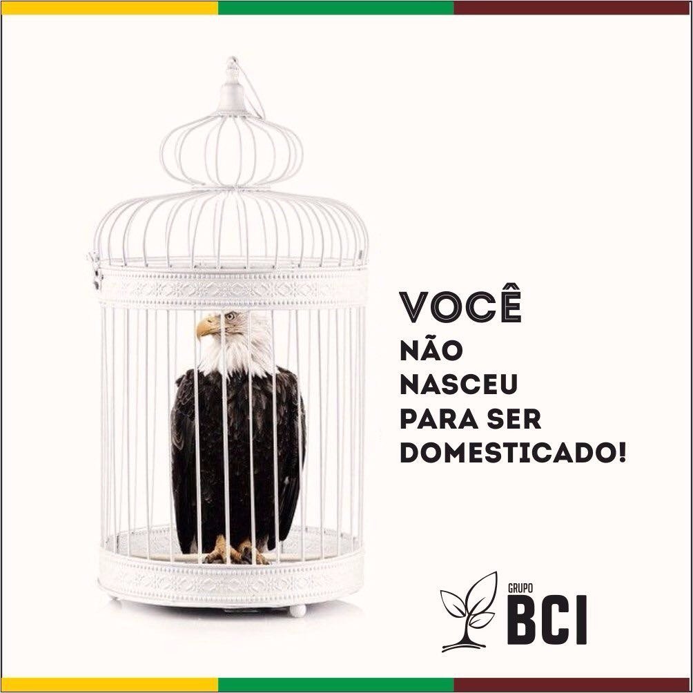 marcia (@aicramarciape) on Twitter photo 