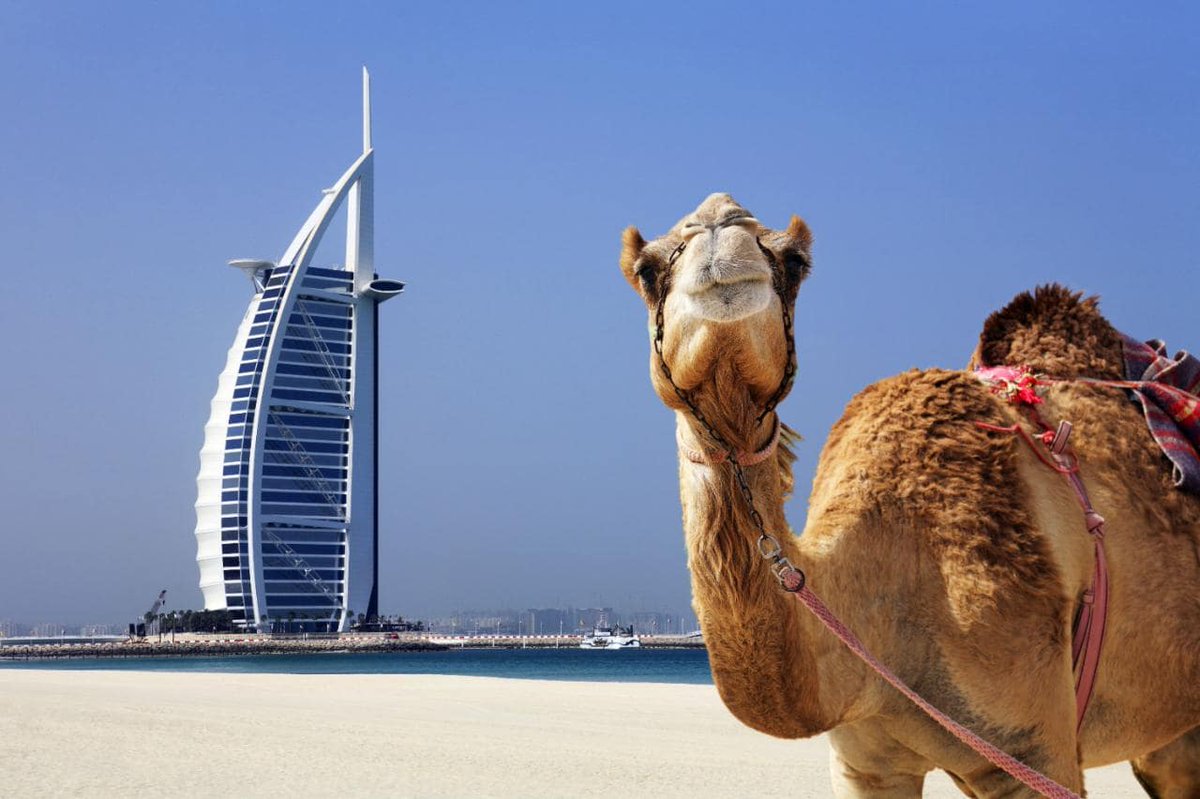 spintechinc's tweet photo. Blockchain Innovations Travel Easy and Far https://t.co/tu2AlhTwFt
 #Spinbackup,  #WBSDubai, #Blockchain, #WorldBlockchainSummit https://t.co/OhuVrCdwBk