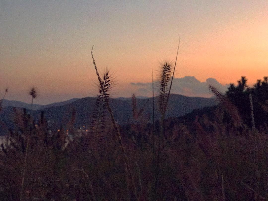 DM5P-XzUEAAwdFU.jpg:large