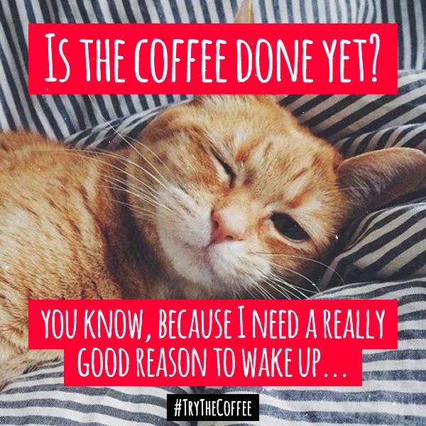 MyKinesisMoney's tweet photo. IS IT TIME FOR COFFEE? β
#TrytheCoffee #FreeCoffeeSamples #FreeShipping #USA πΊπΈ
Get your free coffee samples hereβ‘ https://t.co/VuBLHwQVT2 https://t.co/ZUXxxvJ0Zx