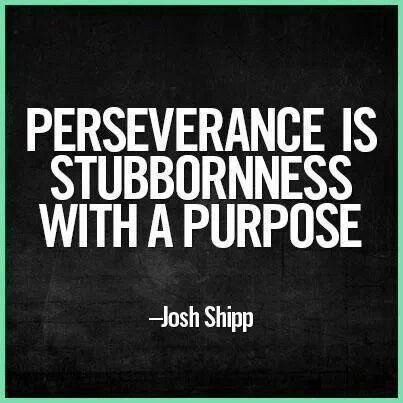 ChangeNewsZA's tweet photo. #Choose to be #stubborn "Perseverance is stubbornness with a purpose" #ChooseDay #perseverance #SpringIntoChange #ChangeNewsZA https://t.co/GvWszpG0Fc
