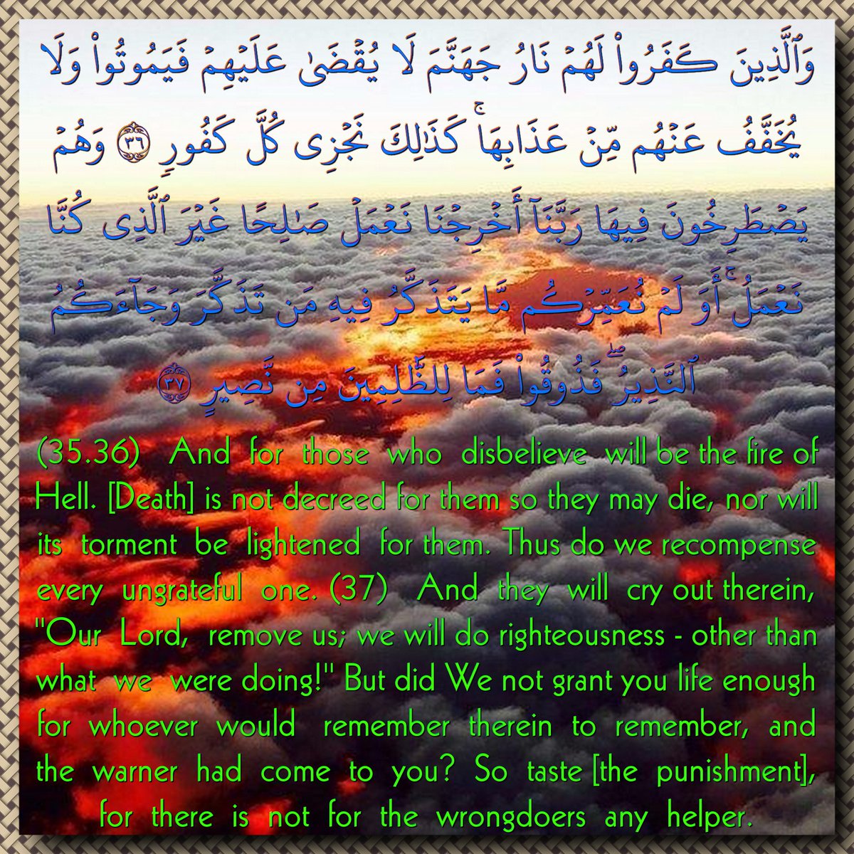 Alaa__2018 tweet picture