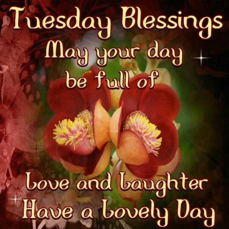 images Snoopy Tuesday Blessing Happy Tuesday twitter
