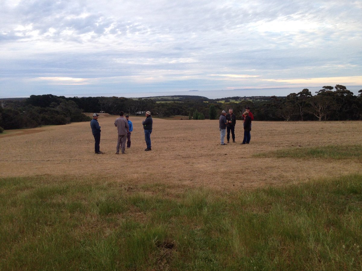 JennyStantonKI's tweet photo. Checking out the newly emerged cover crop mix on the Ag KI crop walk. Thanks @BigRoo_ &amp; @seed_terminator 4 ur insightful presentations! https://t.co/RMlJS52FdS