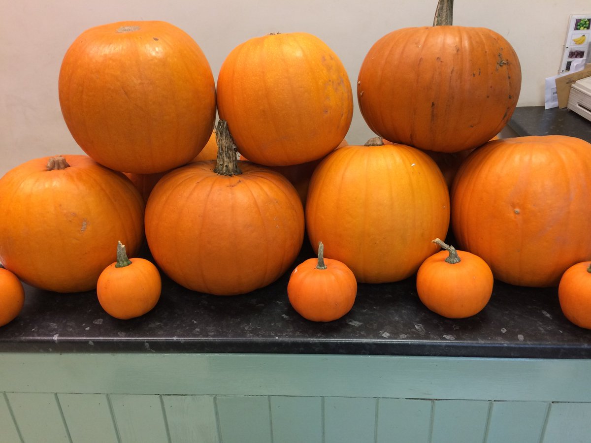 cornerplot's tweet photo. Plenty of spooky and tasty pumpkins available @ The corner plot https://t.co/L3u0fNoWXO