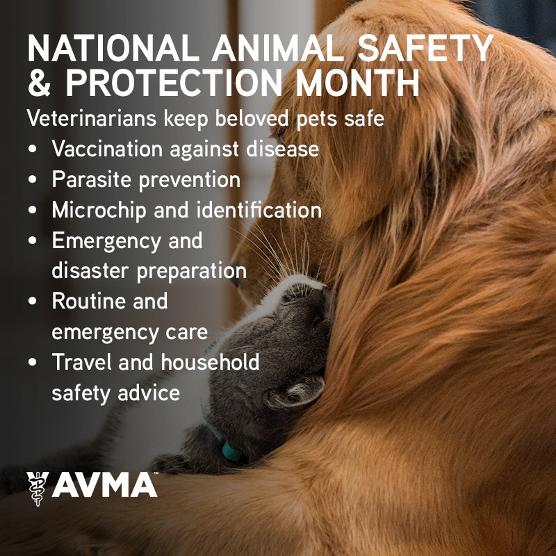 AVMA (American Veterinary Medical Association) on Twitter: 