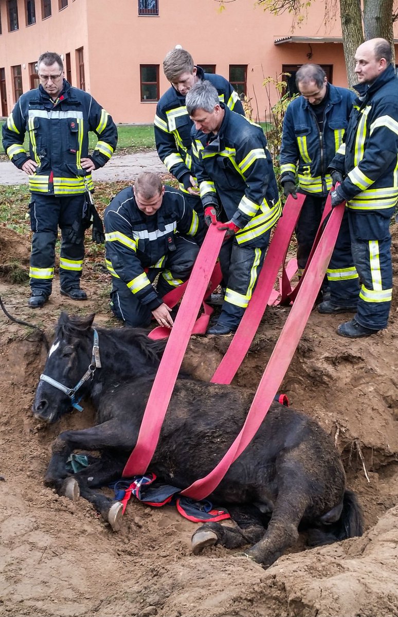 maz_online's tweet photo. Tierische #Heldengeschichte aus #Rädel: #Feuerwehren aus #Lehnin und #Werder #retten ein #Pferd aus einer Grube. https://t.co/i8PXdfK4nc https://t.co/oNPDO2ftJt