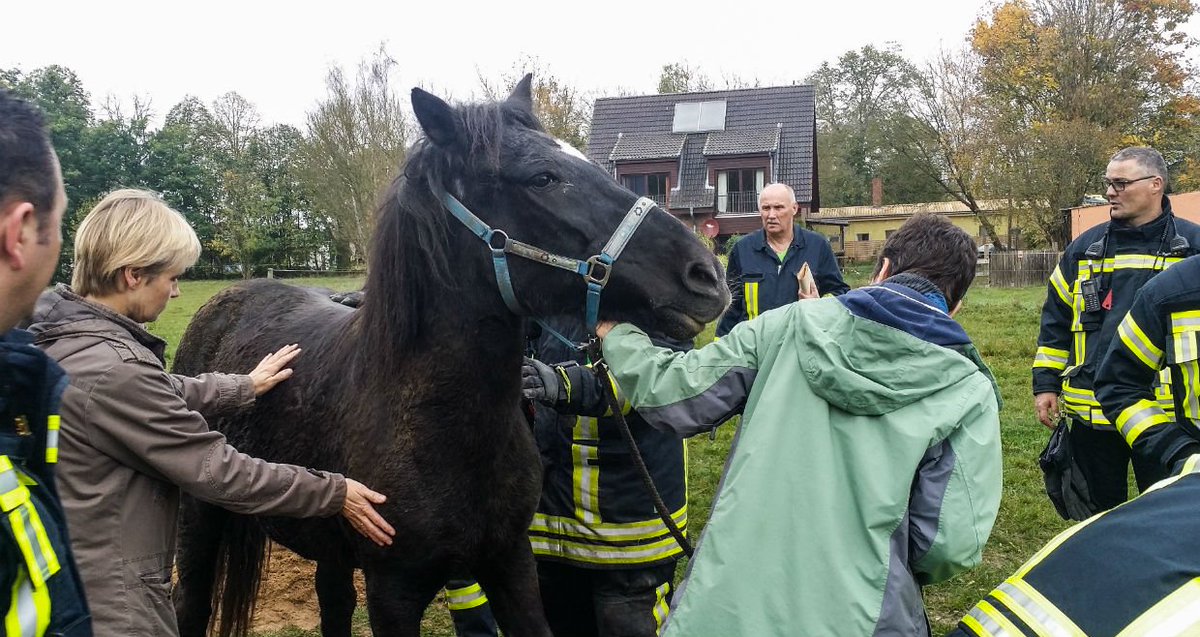 maz_online's tweet photo. Tierische #Heldengeschichte aus #Rädel: #Feuerwehren aus #Lehnin und #Werder #retten ein #Pferd aus einer Grube. https://t.co/i8PXdfK4nc https://t.co/oNPDO2ftJt