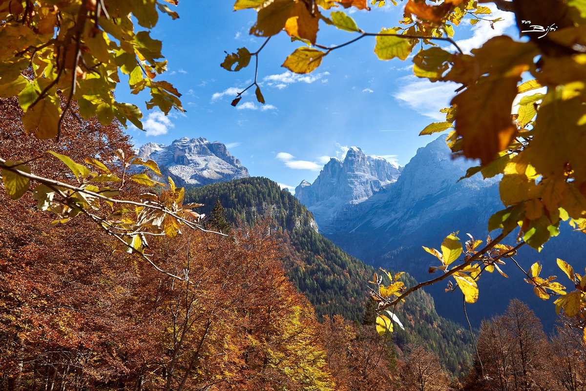 It's no secret that the #nature in the #dolomites has some of the most vibrant fall colors in the country. #topdolomites #madonnadicampiglio