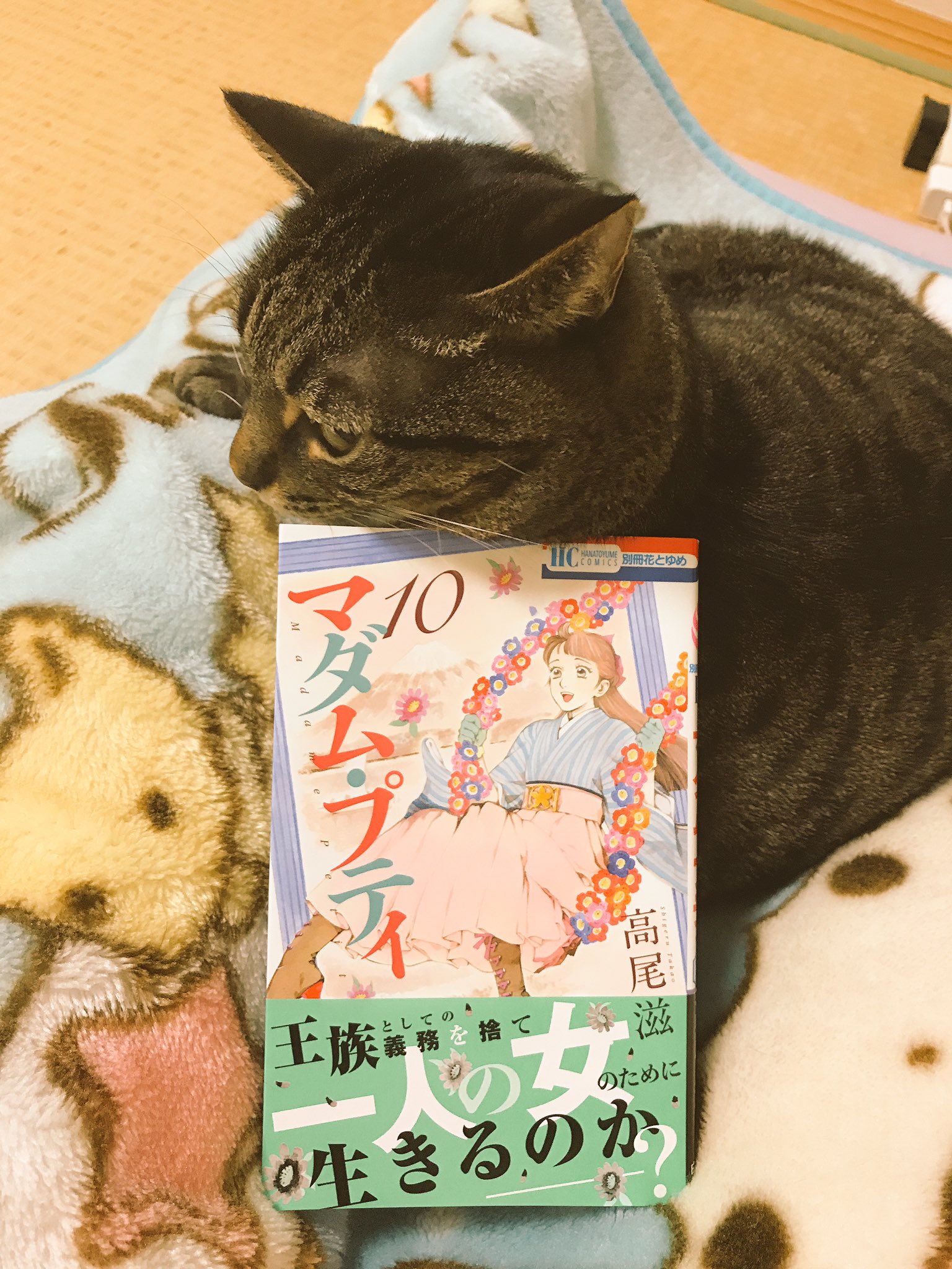 高尾滋 10月日に最新刊 マダム プティ 10巻発売致しました 今巻から電子版も同時発売になっておりますので ご都合に合わせてご利用ください どうぞよろしくお願い致します 高尾滋 10月日に最新刊 マダム プティ 10巻発売致しました 今巻から電子版も同時発売になっておりますので ご都合に合わせてご利用ください どうぞよろしくお願い致します