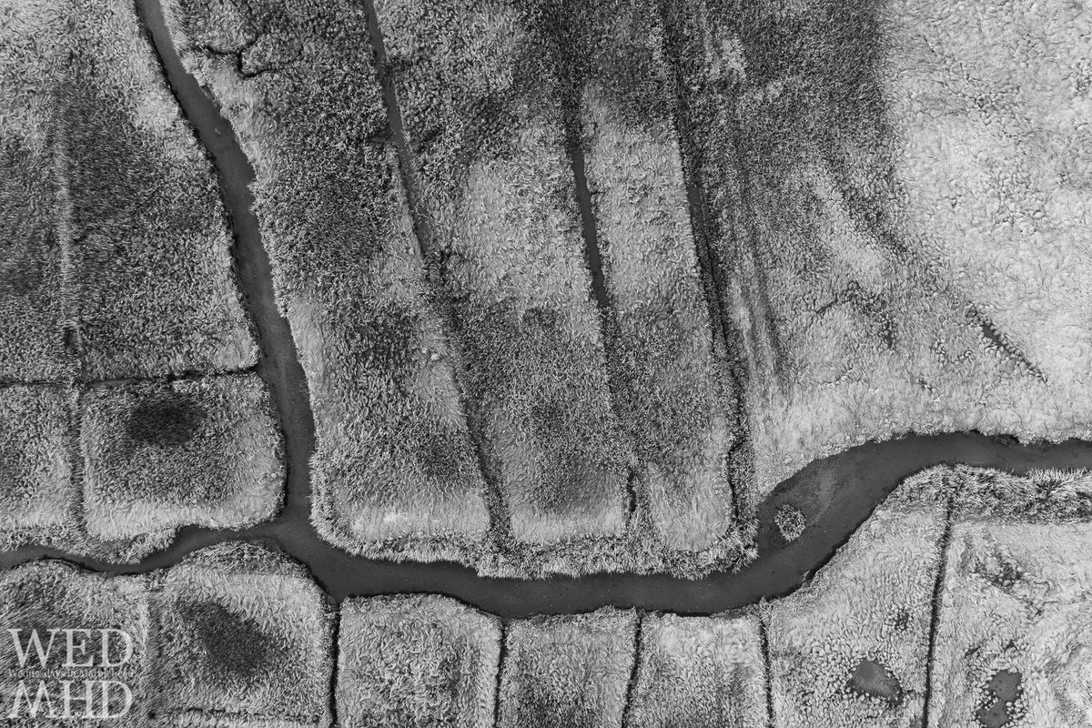 orenphoto's tweet photo. A River Runs Through It - https://t.co/7PzZgzWNyR - #Aerial #BlackAndWhite #Drone #Goldthwait #Phantom4Pro #Marblehead https://t.co/El8LYOvsrE
