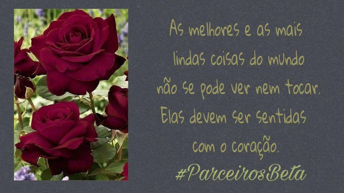 #ParceirosBeta