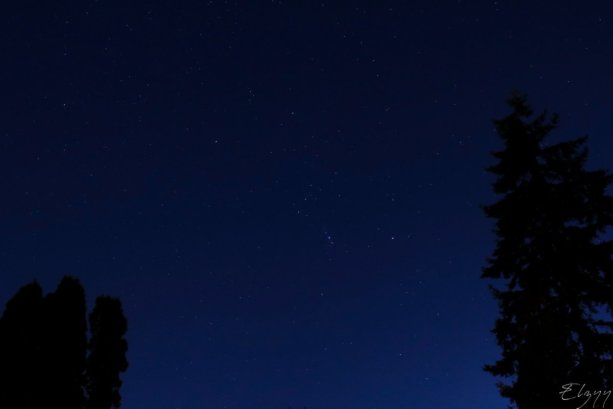 dvwnpour_'s tweet photo. This was one of the most beautiful nights i have ever seen.. truly spectacular 📸 ❤️
#stars #starssky #starsspace #weather #photography https://t.co/9jZmtV3nj4