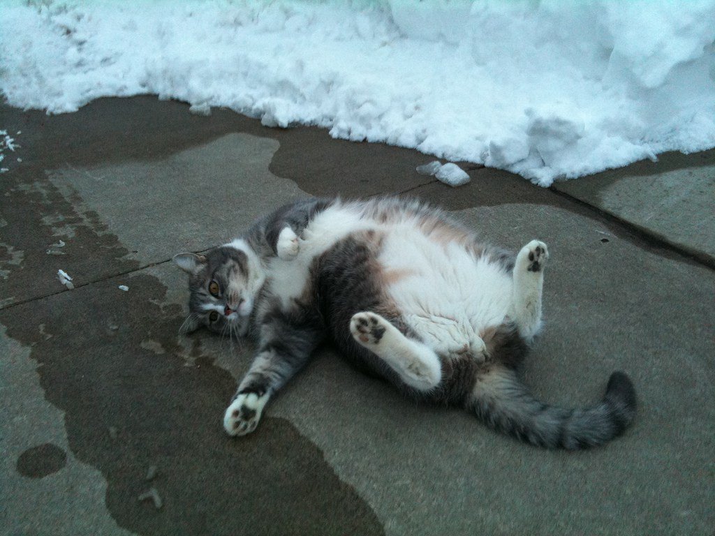 Playing Dead On The Fun-Death Continuum deepfun.com/playing-dead-f…