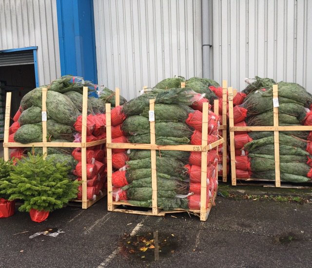 GTF Preston tweet media