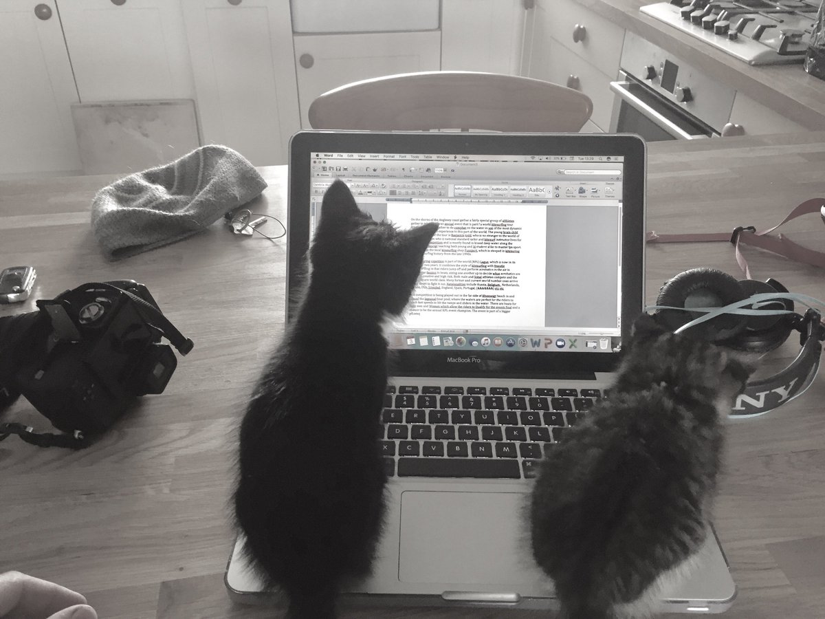 Getting some help with the whatson editing #kittensareawesome #Anglesey #northwales