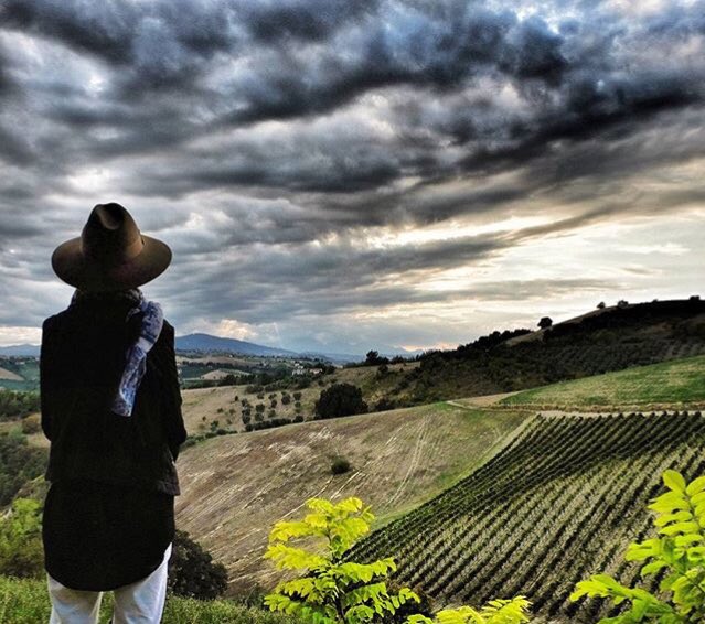 Araştırmalara göre yalnızca bir doğa manzarasını izlemek bile beyindeki denge ve mutlulukla ilişkili alanları aktive etmektedir.