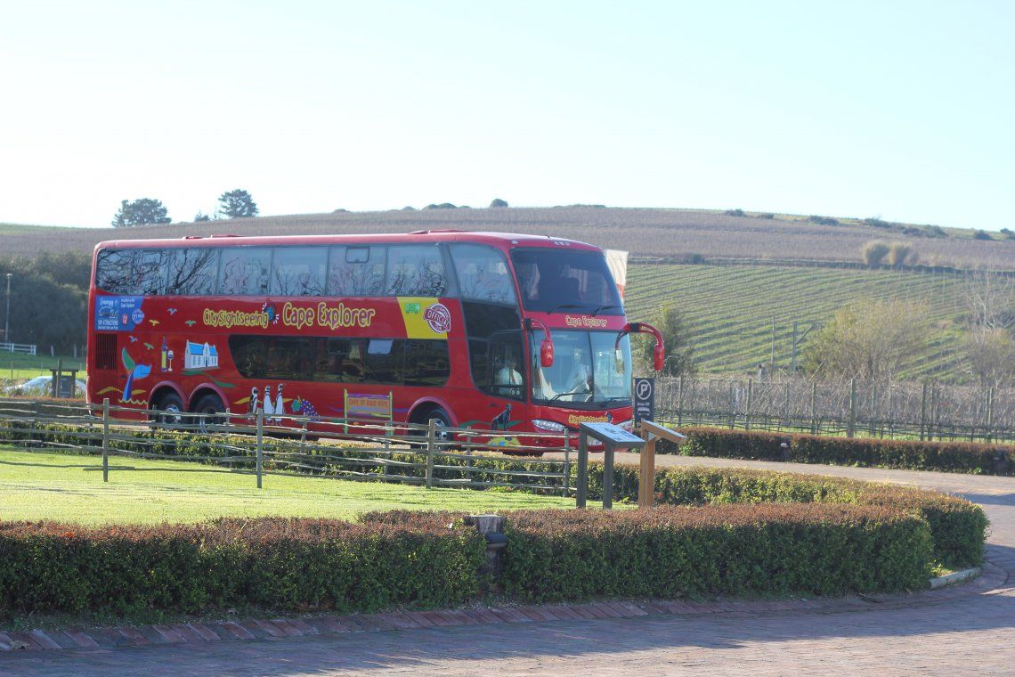 Get ready for the festive season with this comprehensive guide about how the red bus will operate over peak season: buff.ly/2zMr4do